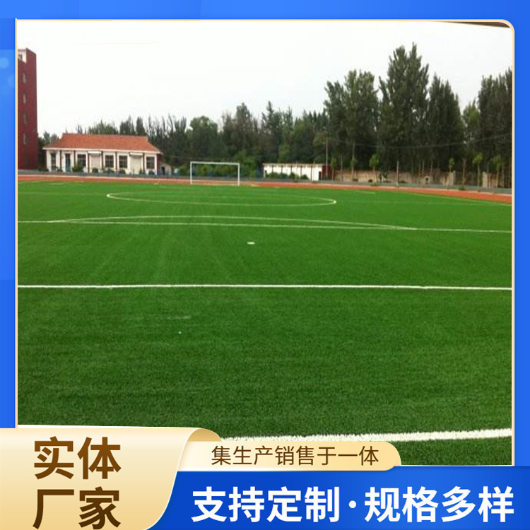 铜陵市人造草坪人造草坪 - 厂家